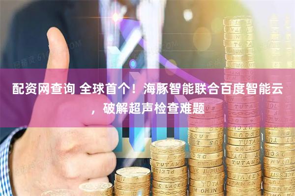 配资网查询 全球首个！海豚智能联合百度智能云，破解超声检查难题