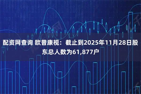 配资网查询 欧普康视:截止到2025年11月28日股东总人数为61,877户